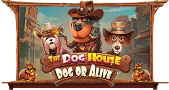 The Dog House – Dog or Alive
